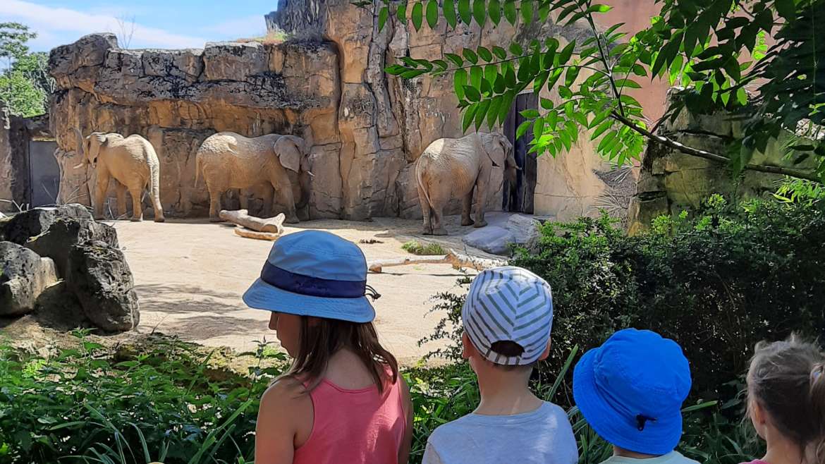 Kinder bei den Elefanten