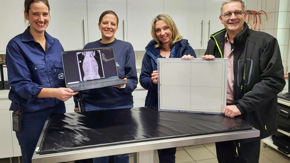 Digitales Röntgengerät: Übergabe