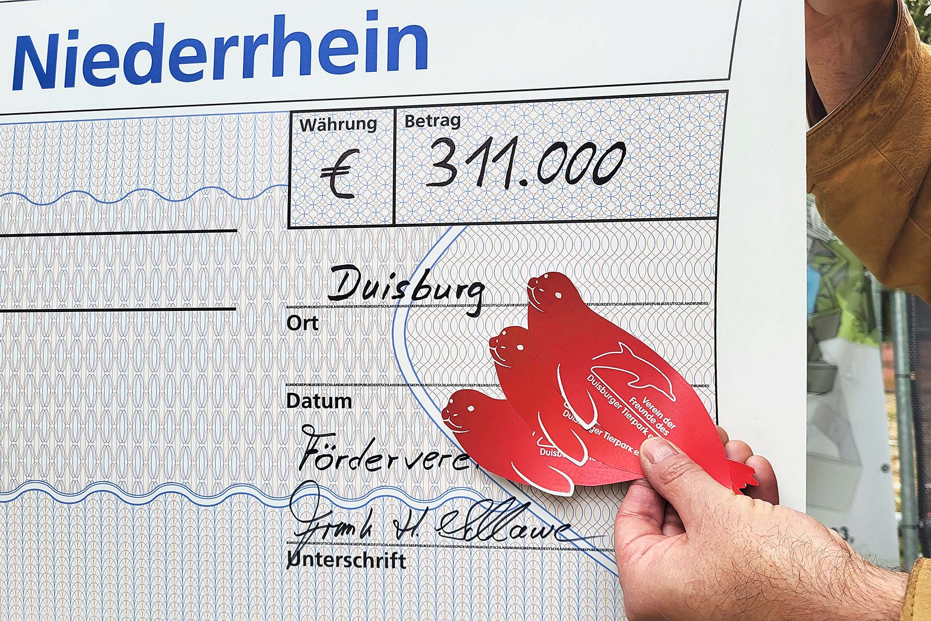 Zoofreunde Duisburg: Großspende für die Modernisierung und Erweiterung der Seelöwenanlage