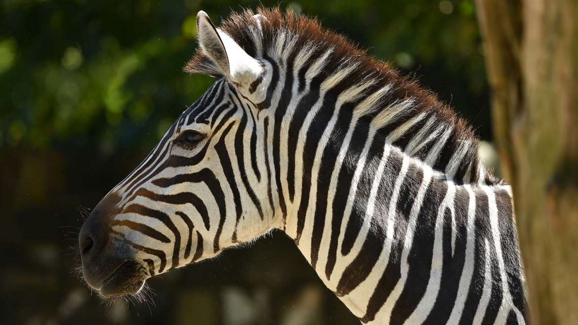 Impressionen von der Zootour Hamm 2024