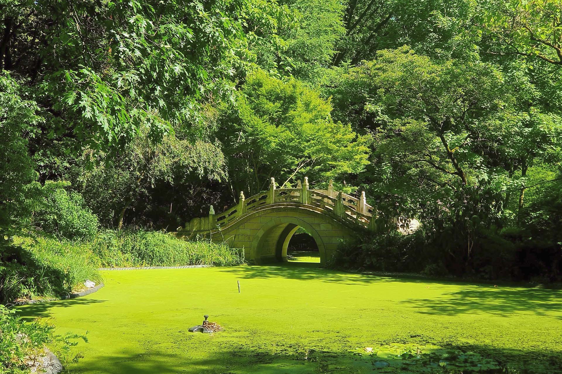 Impressionen vom Ehrenamtstreffen im Zoo Duisburg 2025