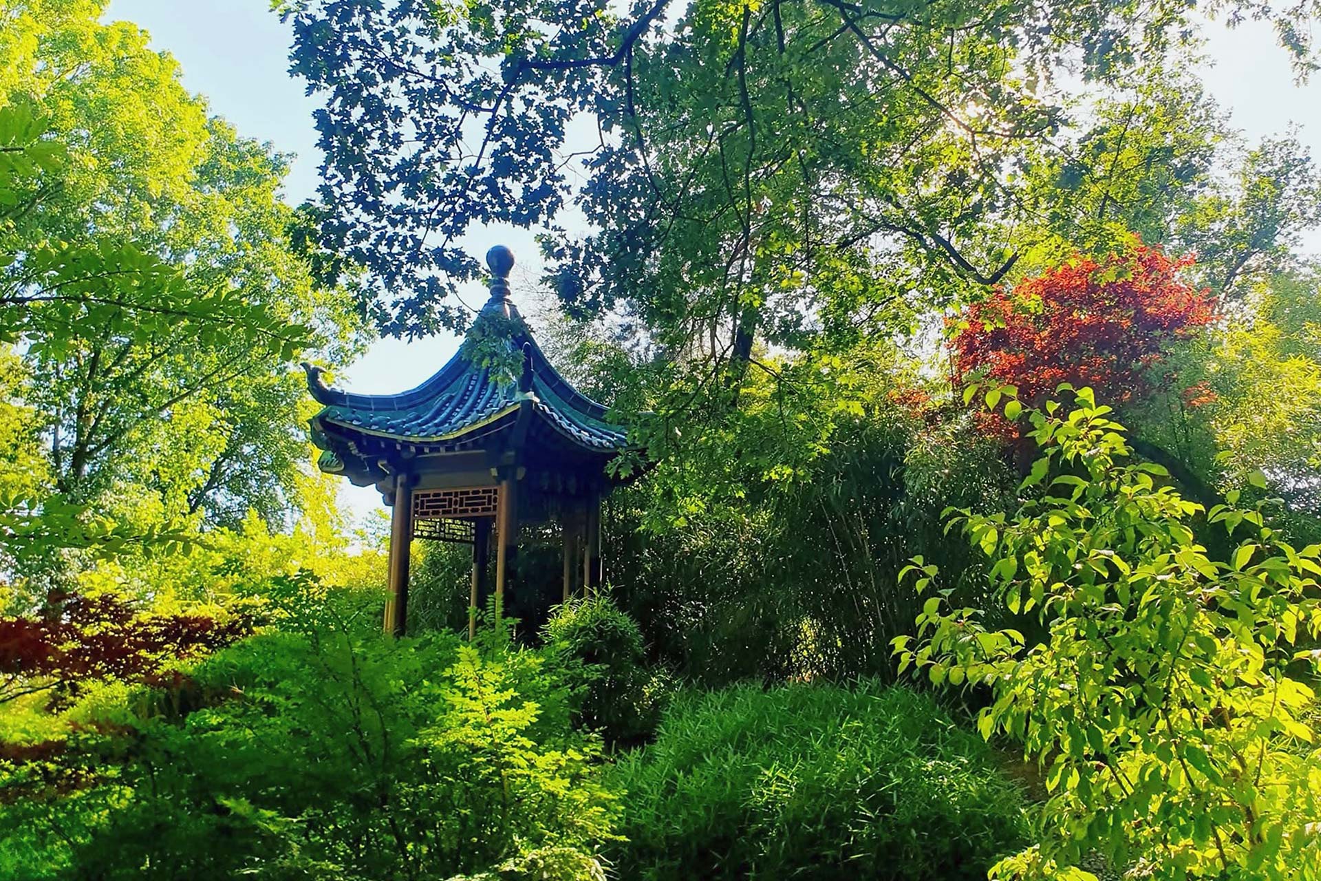 Impressionen vom Ehrenamtstreffen im Zoo Duisburg 2025