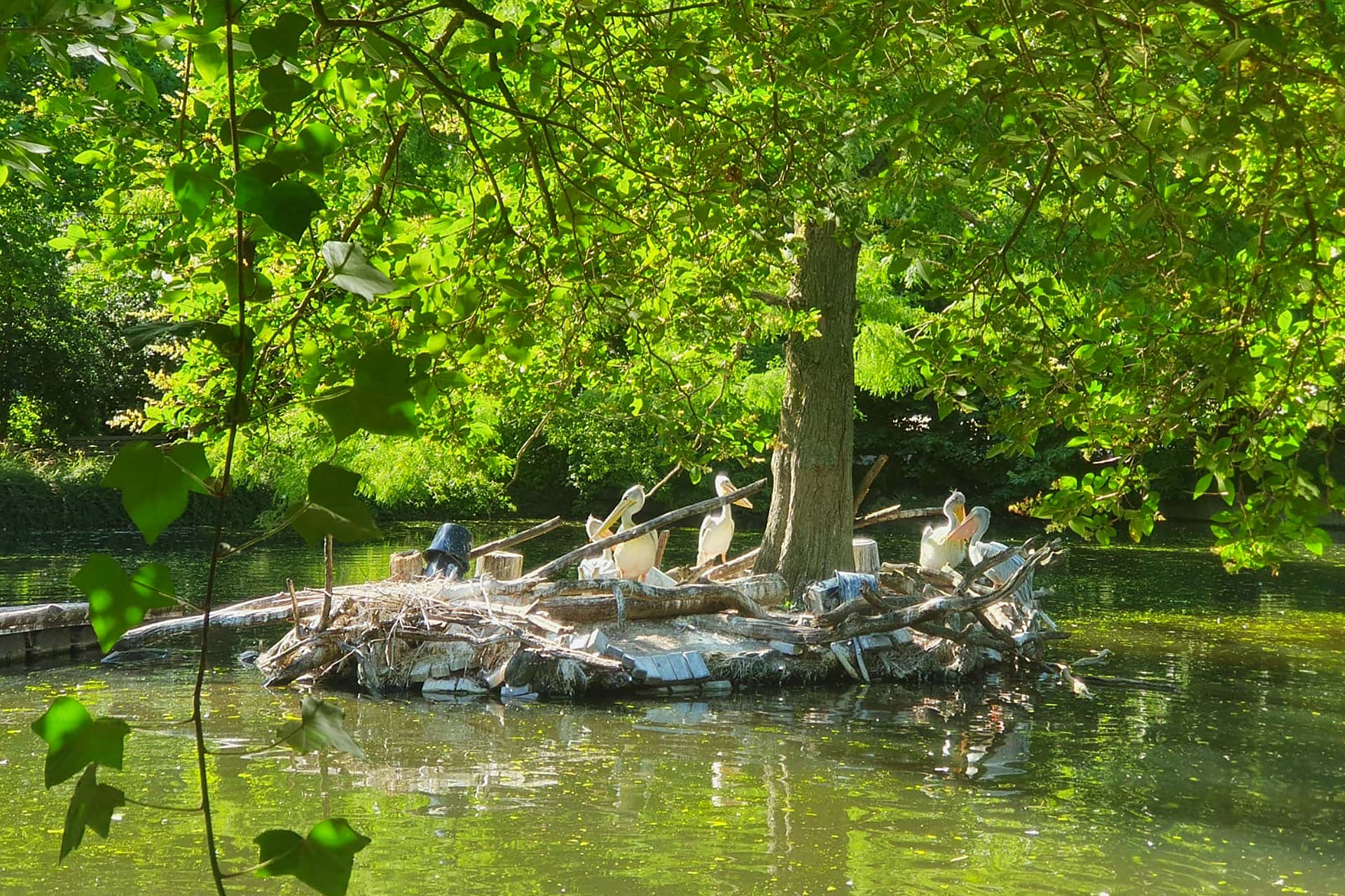 Impressionen vom Ehrenamtstreffen im Zoo Duisburg 2025