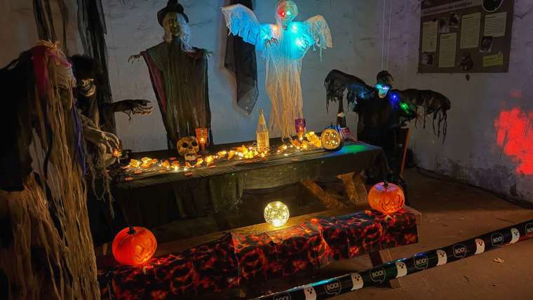 Zoofreunde Duisburg: Halloween 2025 (Impressionen)