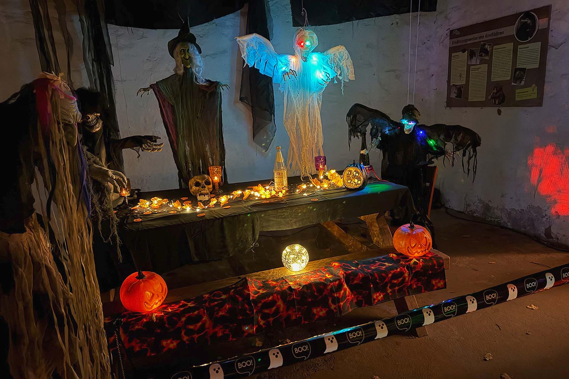 Zoofreunde Duisburg: Halloween 2025 (Impressionen)