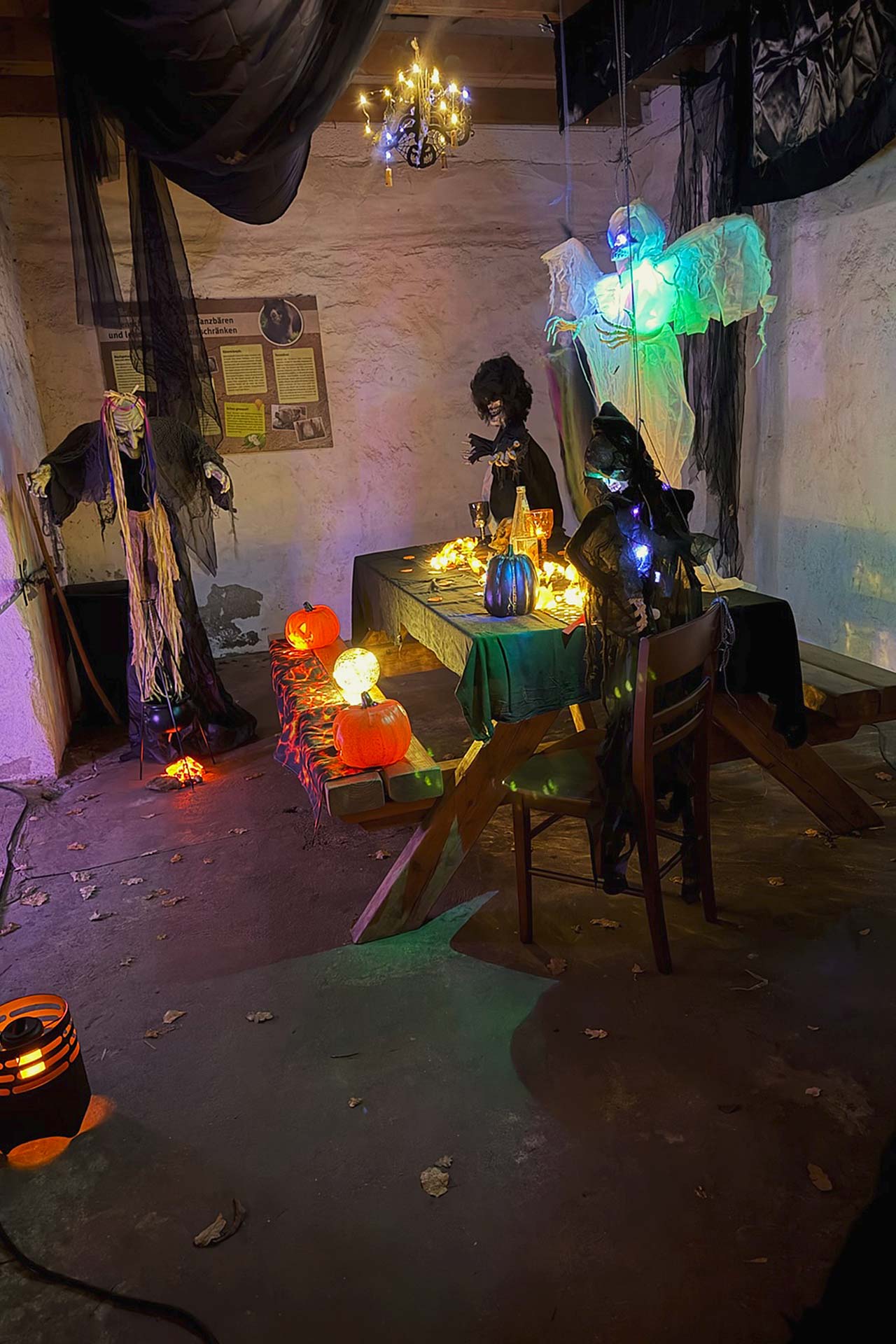 Zoofreunde Duisburg: Halloween 2025 (Impressionen)