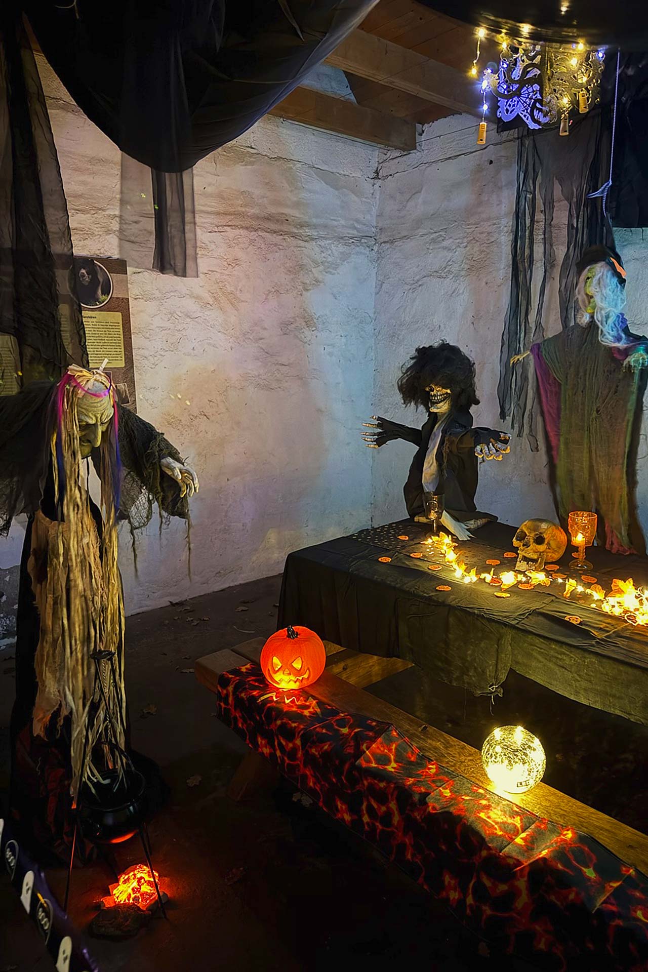 Zoofreunde Duisburg: Halloween 2025 (Impressionen)