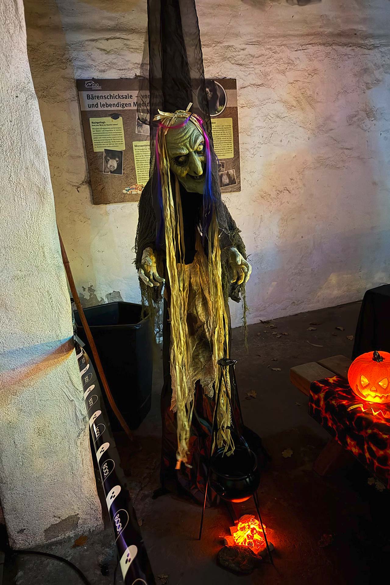 Zoofreunde Duisburg: Halloween 2025 (Impressionen)