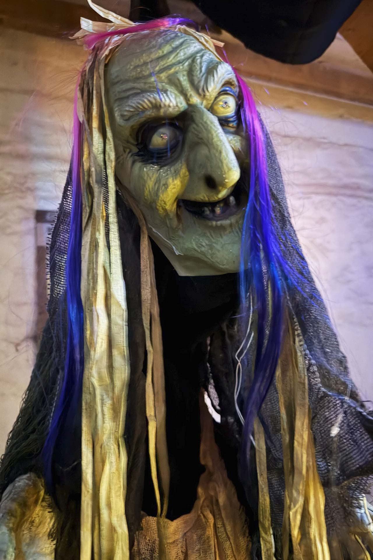 Zoofreunde Duisburg: Halloween 2025 (Impressionen)