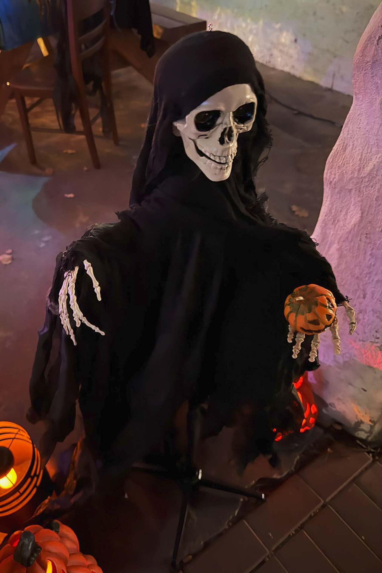 Zoofreunde Duisburg: Halloween 2025 (Impressionen)