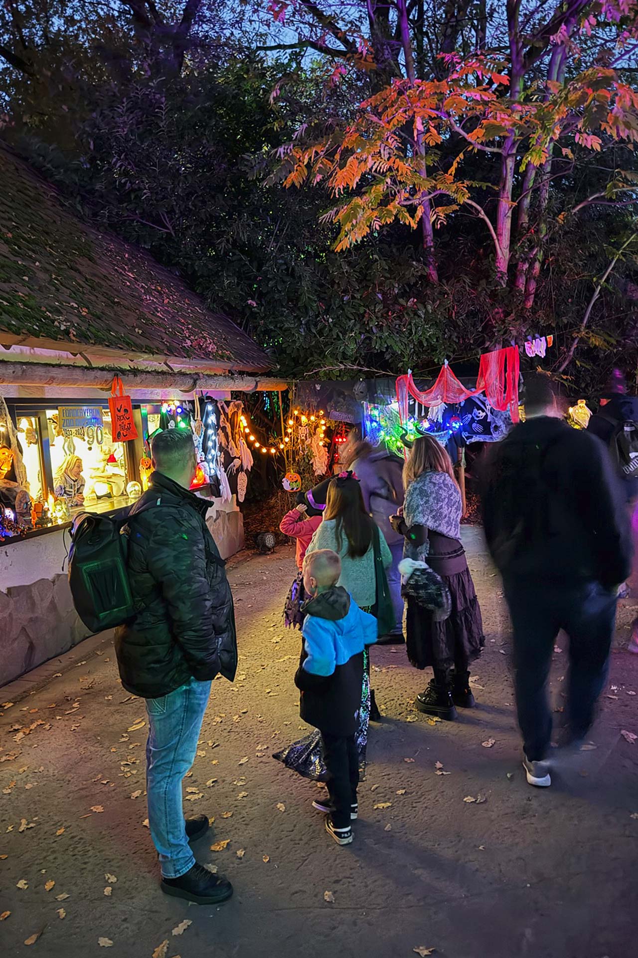 Zoofreunde Duisburg: Halloween 2025 (Impressionen)