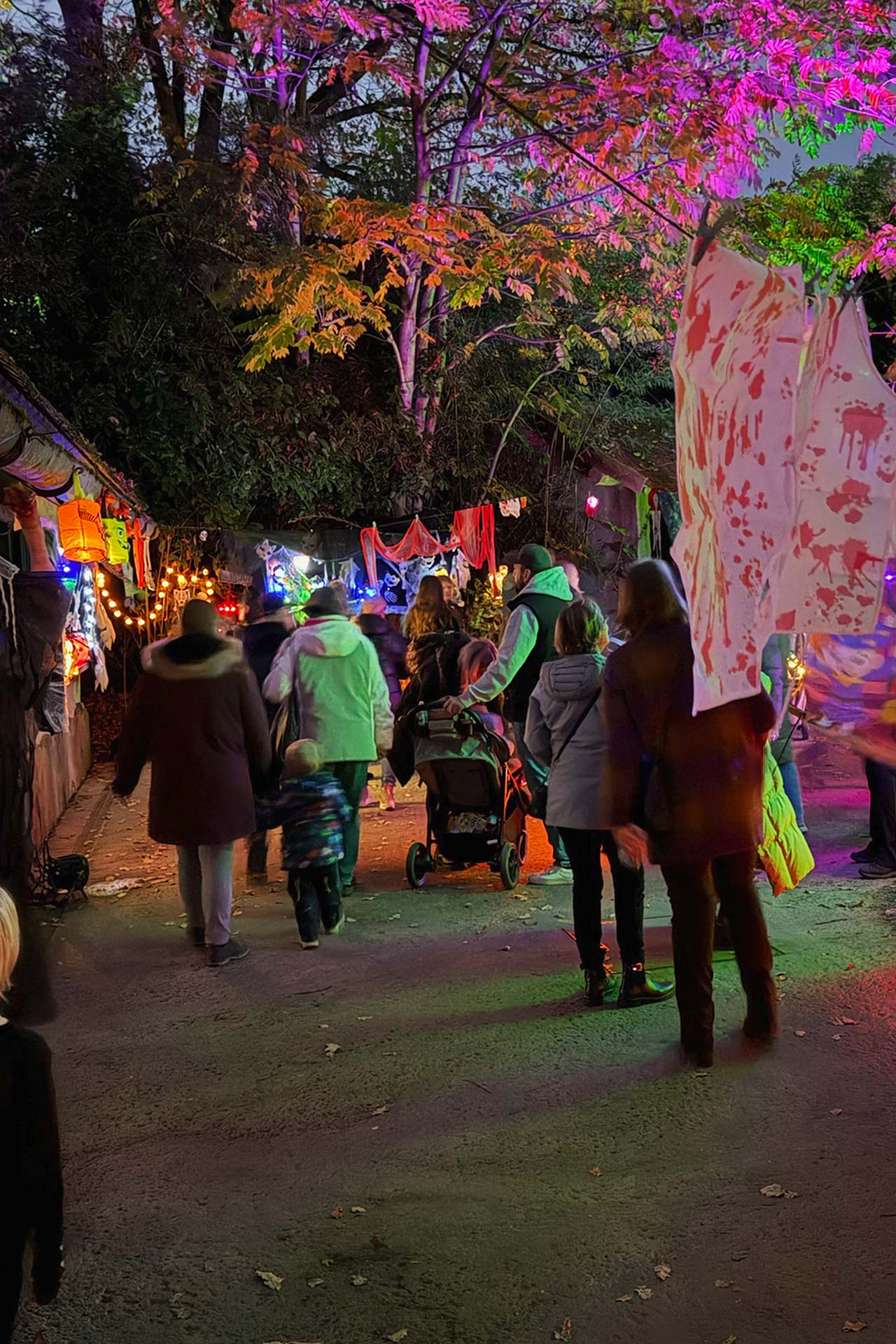 Zoofreunde Duisburg: Halloween 2025 (Impressionen)
