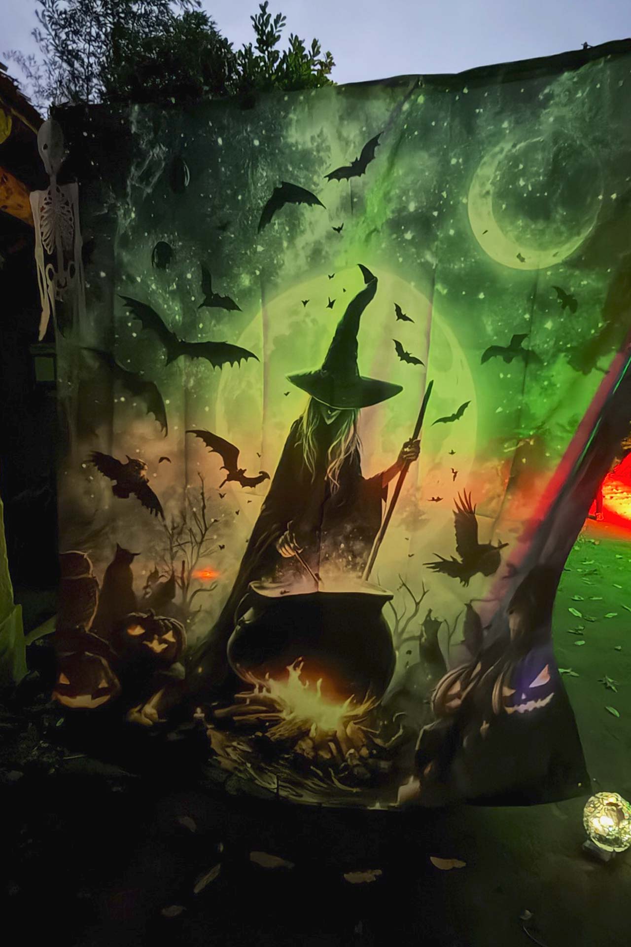 Zoofreunde Duisburg: Halloween 2025 (Impressionen)