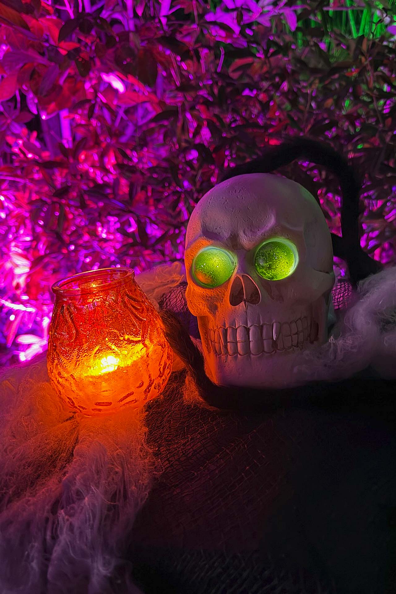 Zoofreunde Duisburg: Halloween 2025 (Impressionen)