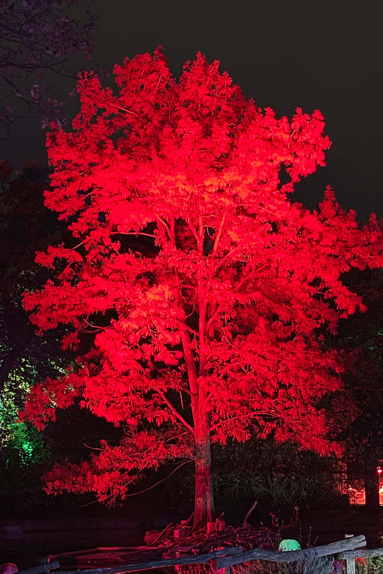 Zoofreunde Duisburg: Halloween 2025 (Impressionen)