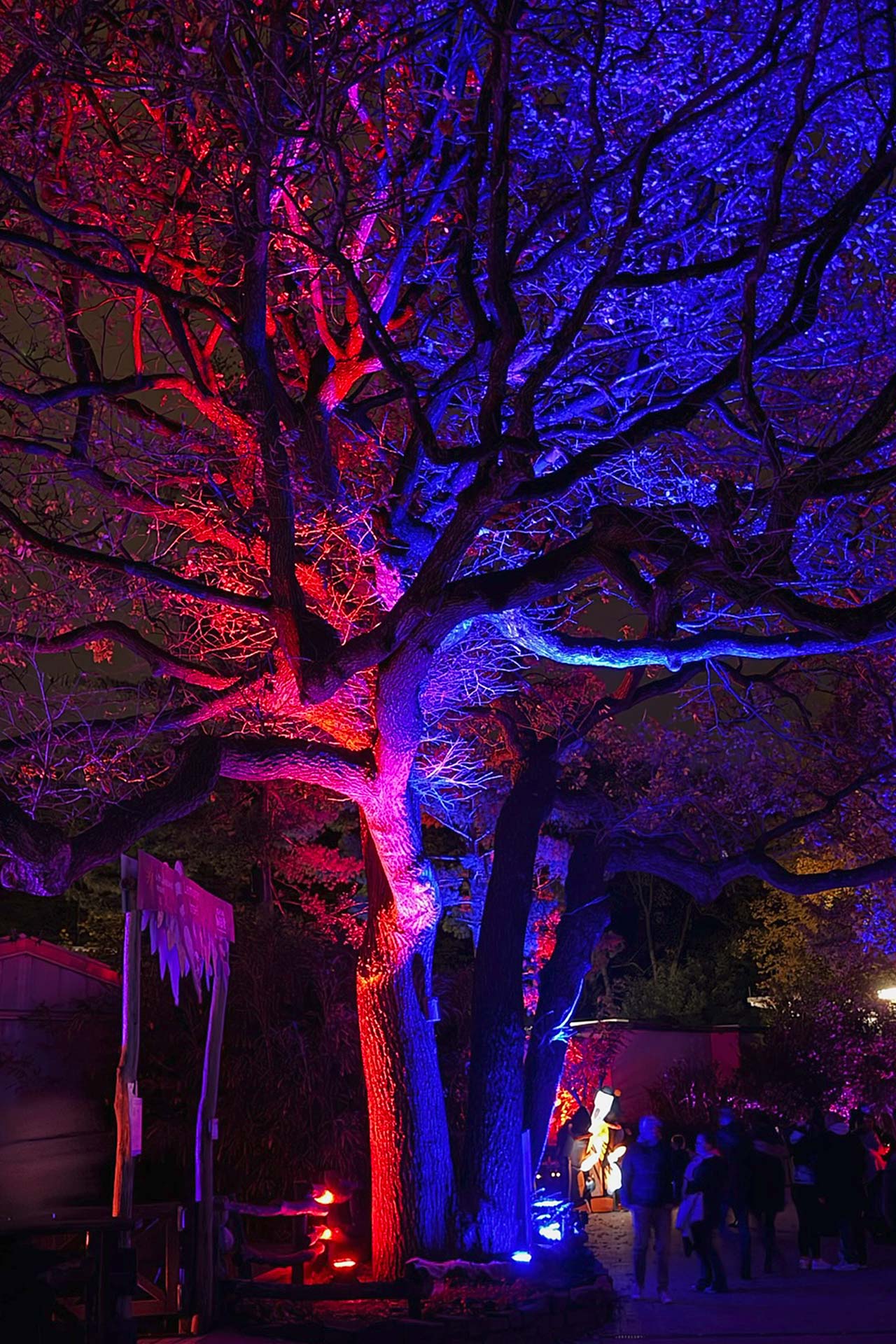 Zoofreunde Duisburg: Halloween 2025 (Impressionen)