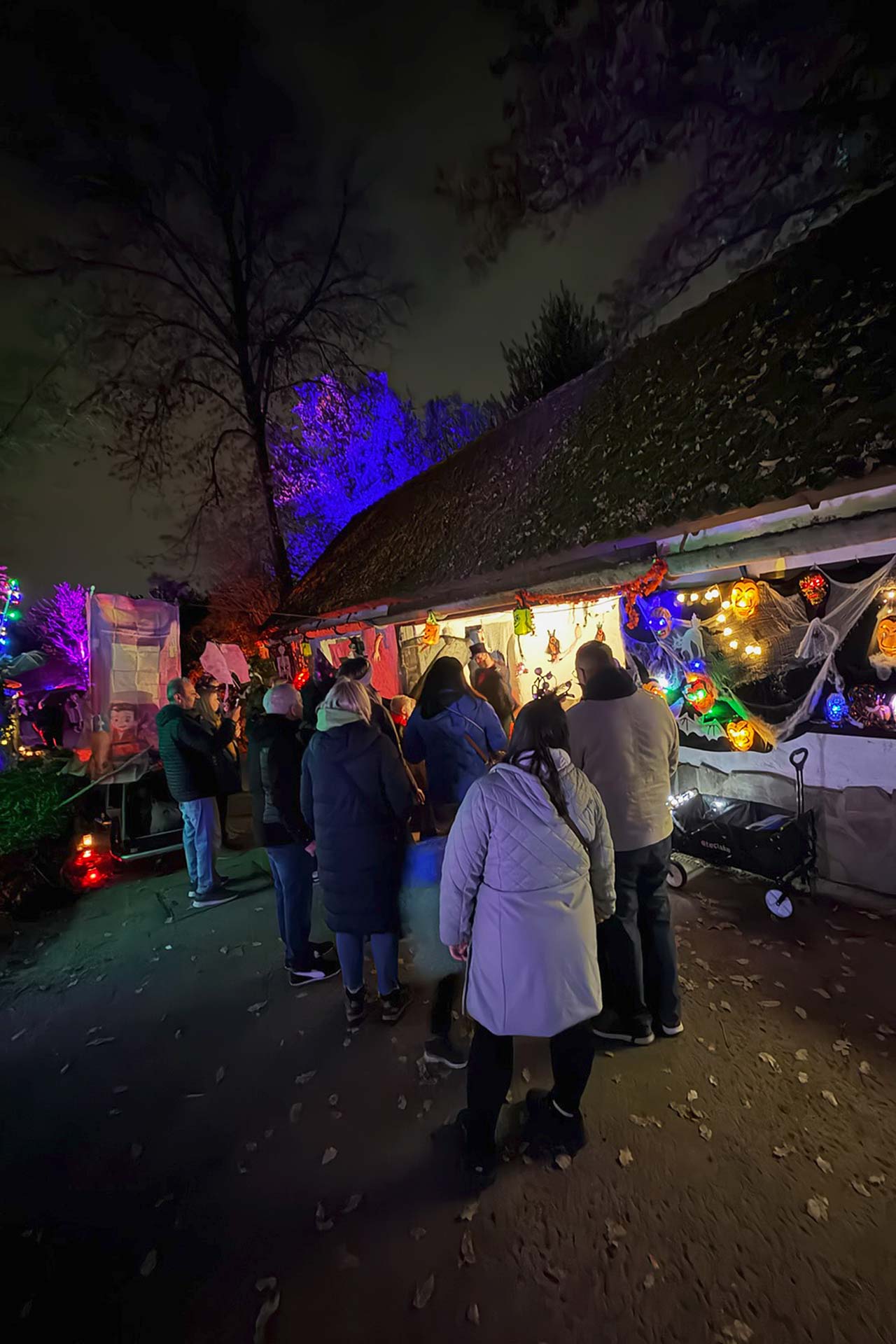 Zoofreunde Duisburg: Halloween 2025 (Impressionen)