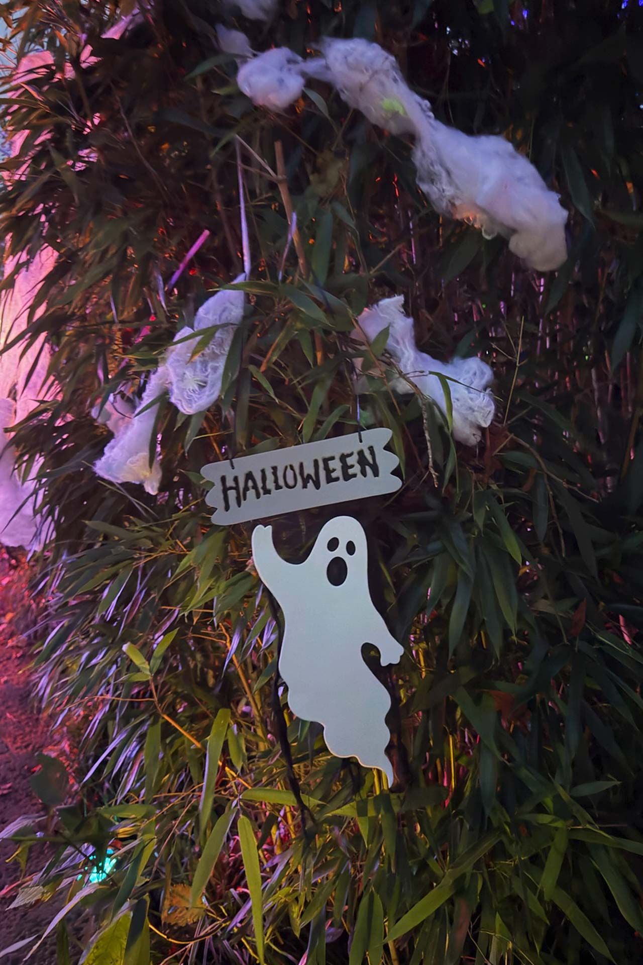 Zoofreunde Duisburg: Halloween 2025 (Impressionen)