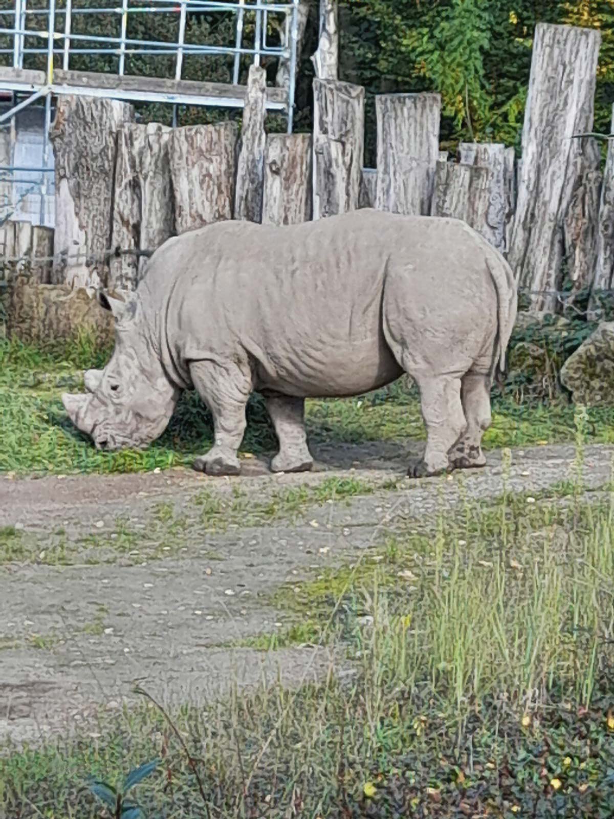 Zootour Dortmund 2025 (Impressionen)