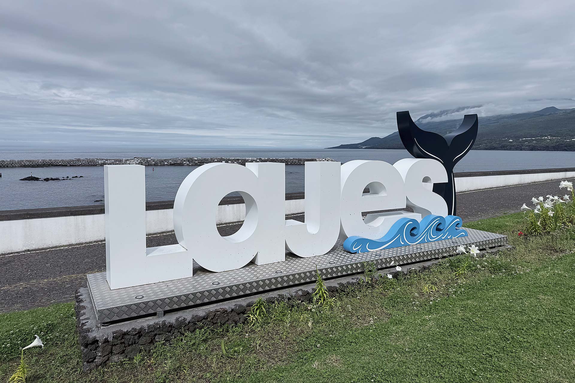 Zoofreunde Duisburg | Whale Watching 2026